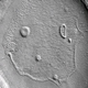 Illustration for article titled iLife On Mars/i: Life Is A Rock